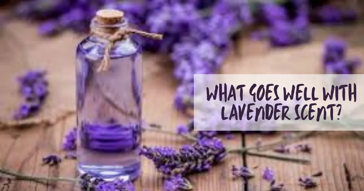 What Goes Well with Lavender Scent