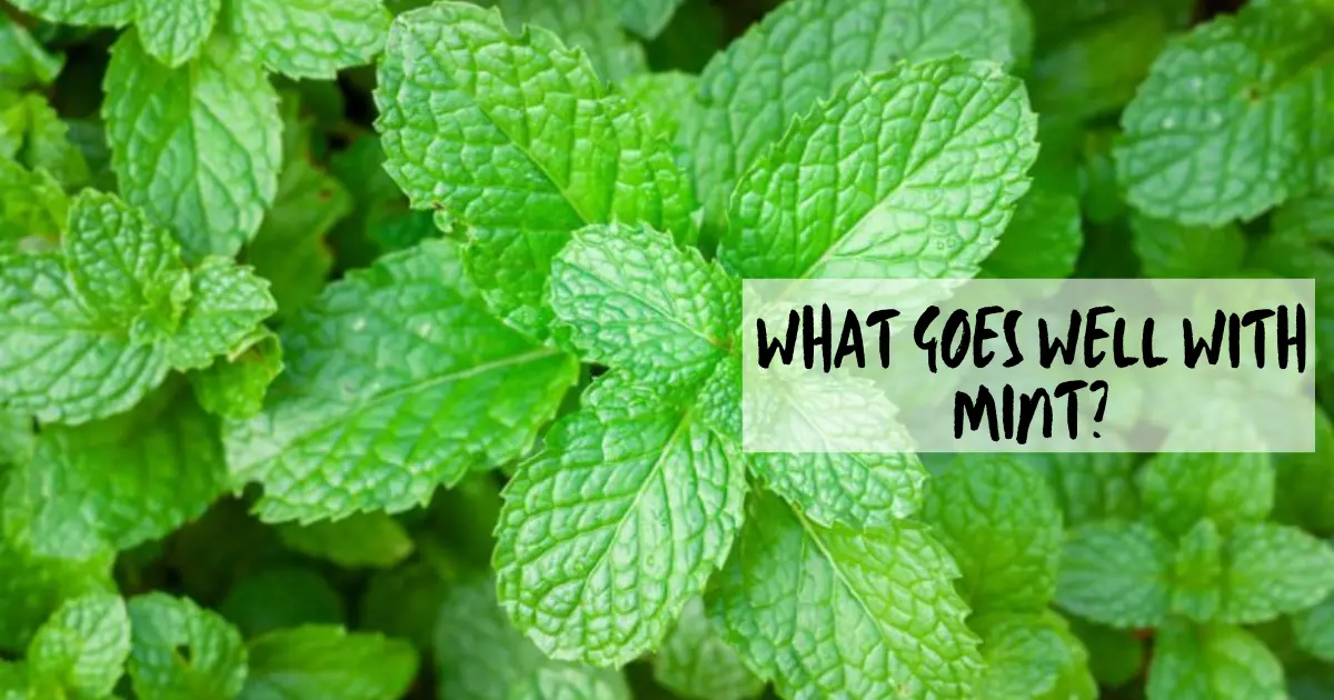 What Goes Well with Mint