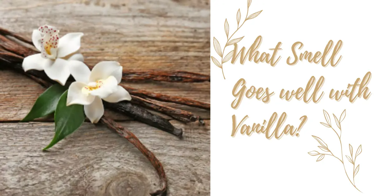 What Smell Goes Well with Vanilla