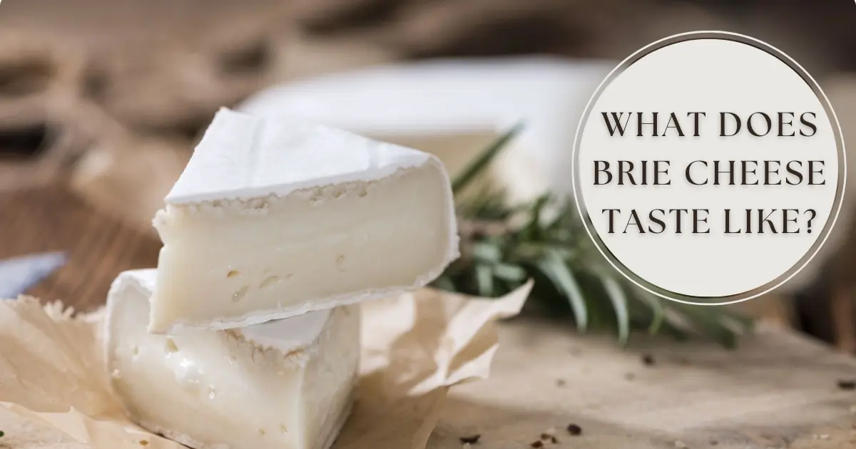 What Does Brie Cheese Taste Like