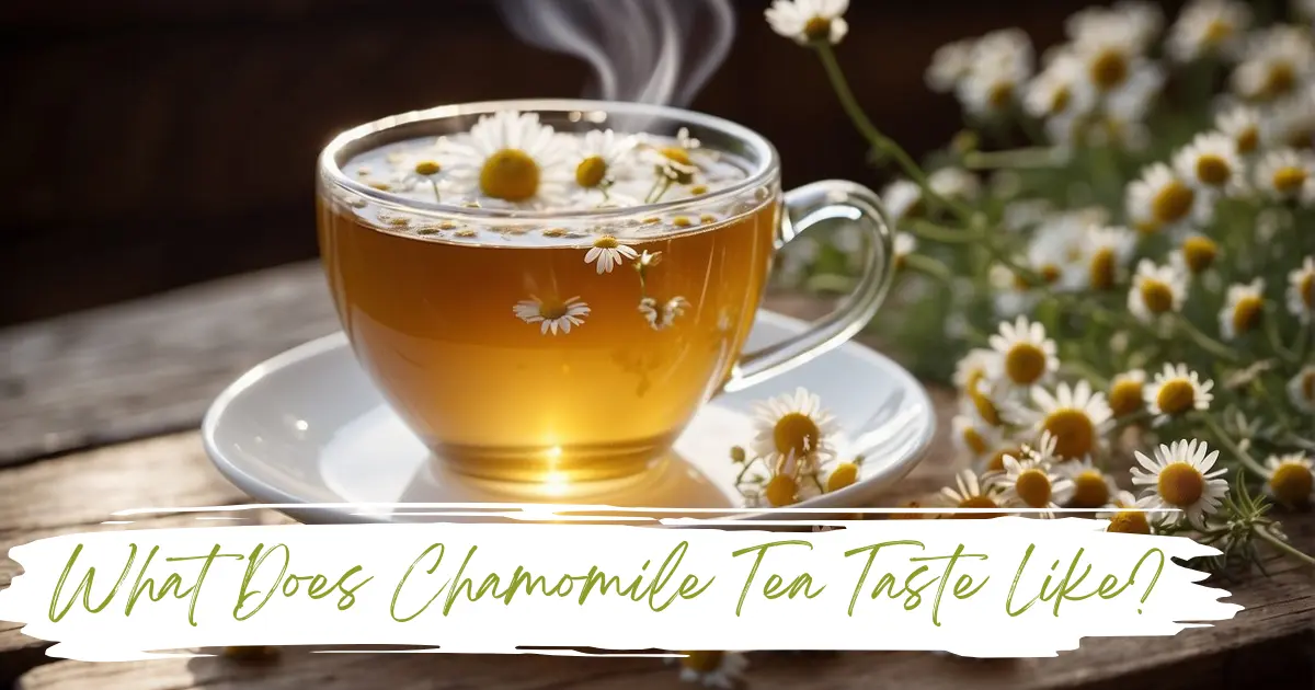 What Does Chamomile Tea Taste Like