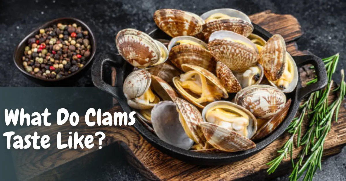 What Do Clams Taste Like