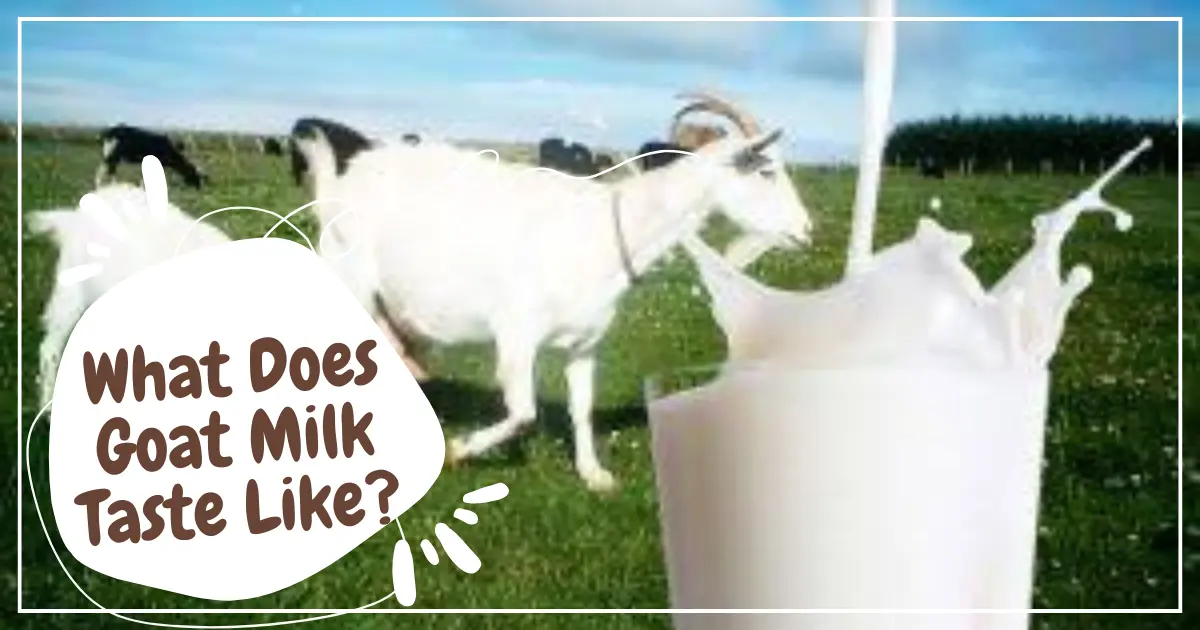 What Does Goat Milk Taste Like? An In-Depth Guide!