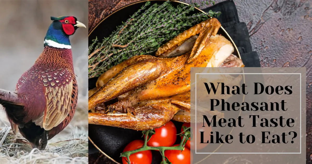 What Does Pheasant Meat Taste Like to Eat